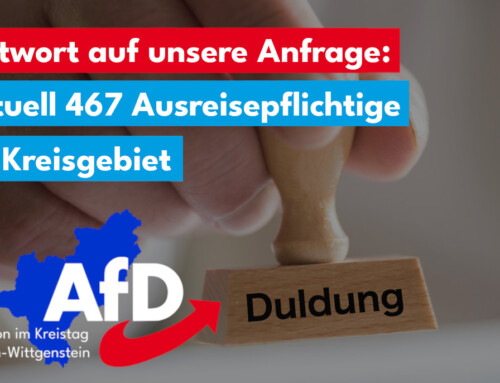 AfD Kreistagsfraktion fordert Ende der Duldung